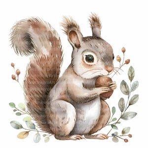 12 Squirrel Clipart | Watercolor Bright-Eyed Squirrel with Acorn & Leaves | Rustic Woodland Animal Art | Digital Download