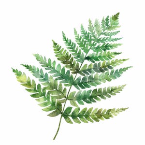 12 Fern Leaf Clipart | Delicate Green Fronds Watercolor | Minimal Forest Botanical Art | Digital Download