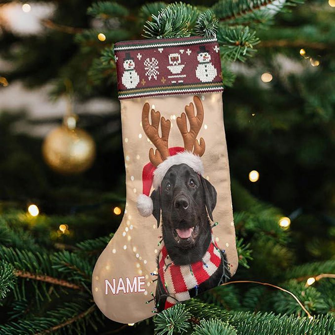Yellow Lab Stocking Personalized Black Lab Dog Christmas Stocking M-L, Custom Pet Christmas ...
