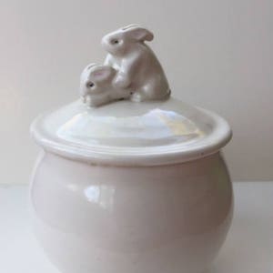 Laura Burch covered jar for condoms or fertility items with humping bunnies