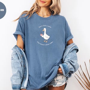 Lustiges Krankenschwester Kaffee T-Shirt: Dumme Gans Komfort Farben Shirt