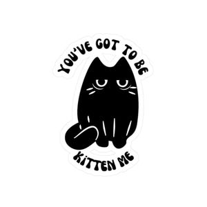 Vinyl Decal, Black Cat &#39;You&#39;ve Got to Be Kitten Me&#39; Sticker, Playful Animal Lover Gift, Funny Cat Decal, Laptop Decal, Car Decal, Water