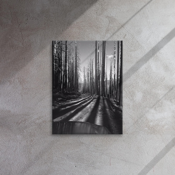 Lisa’s trail guides.