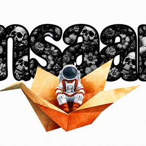 May include: A graphic design featuring the word "insaan" in bold, black, rounded letters filled with a pattern of white flowers and skulls. Below the text, a small astronaut in a white and orange suit sits inside a large, orange paper crane.