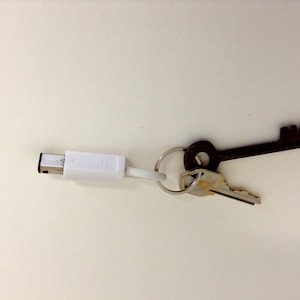 Nintendo Game Cube Controller Plug Key Chain et Cordon upcyclé