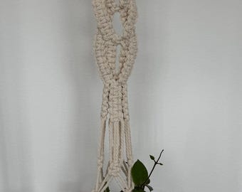 Puede incluir: Colgador de plantas de macramé color crema con una planta en maceta. El colgador está suspendido de un anillo de madera y presenta un diseño tejido con una borla. La planta tiene hojas de color verde oscuro.