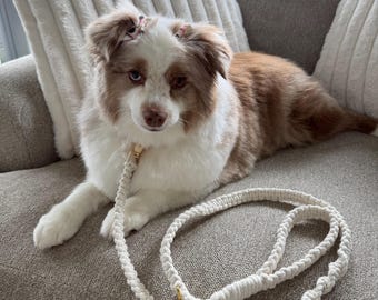 Macramé Dog Leash | Cream Dog Leash | Macrame | Puppy Leash | Handmade Dog Leash