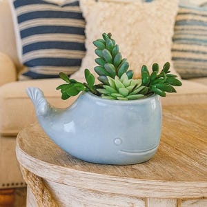 Può includere: Una fioriera a forma di balena in ceramica azzurra, piena di piante grasse verdi. Il vaso a forma di balena ha una faccia sorridente e una coda ricurva. La fioriera è su un tavolo di legno.