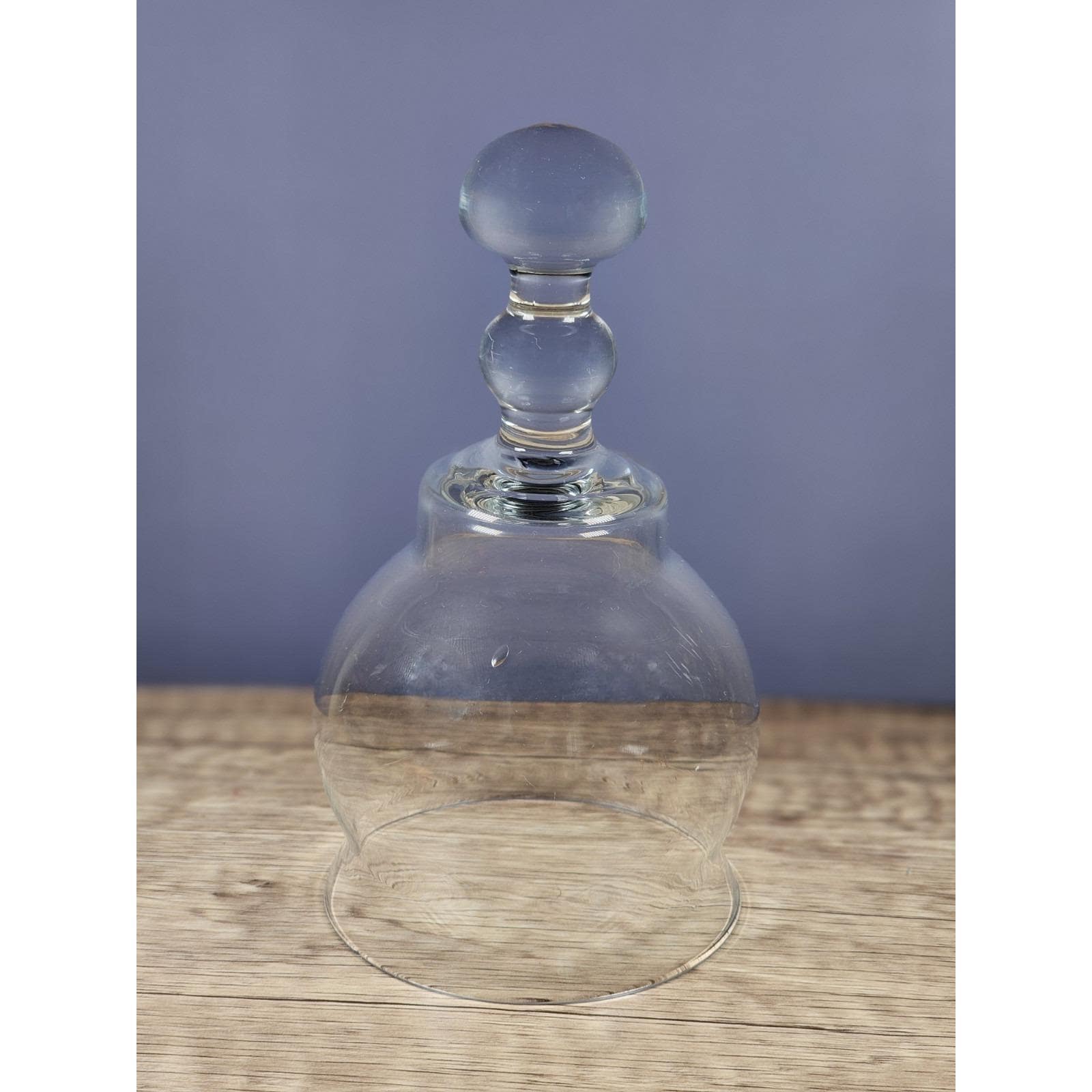 Vintage Glass Cloche Bell Jar With Dome Handle For Display/Garden