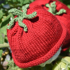 May include: Two handmade, knitted tomato-shaped items. The main body is a vibrant red, with a green, leafy stem. The items are set against a backdrop of green foliage, suggesting a garden setting. The knitted texture is clearly visible.