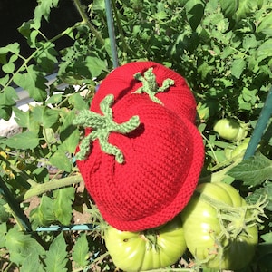 May include: Two red crocheted tomato hats with green crocheted stems rest on a tomato plant with green tomatoes. The hats are a vibrant red color and appear to be handmade. The background features green leaves and a metal support structure.