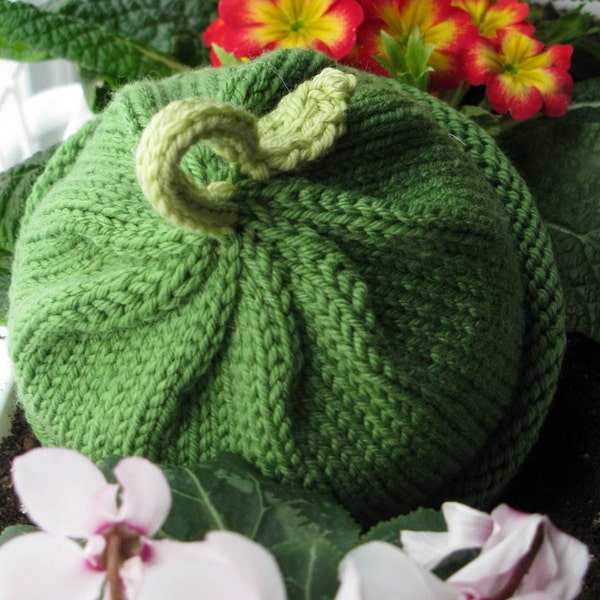 Baby Sprout Hat