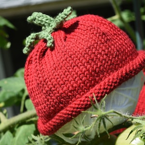 May include: A knitted red hat shaped like a tomato, with a green stem and leaves. The hat is made of a textured yarn and sits atop a white object, with green foliage in the background. A fun, whimsical accessory.