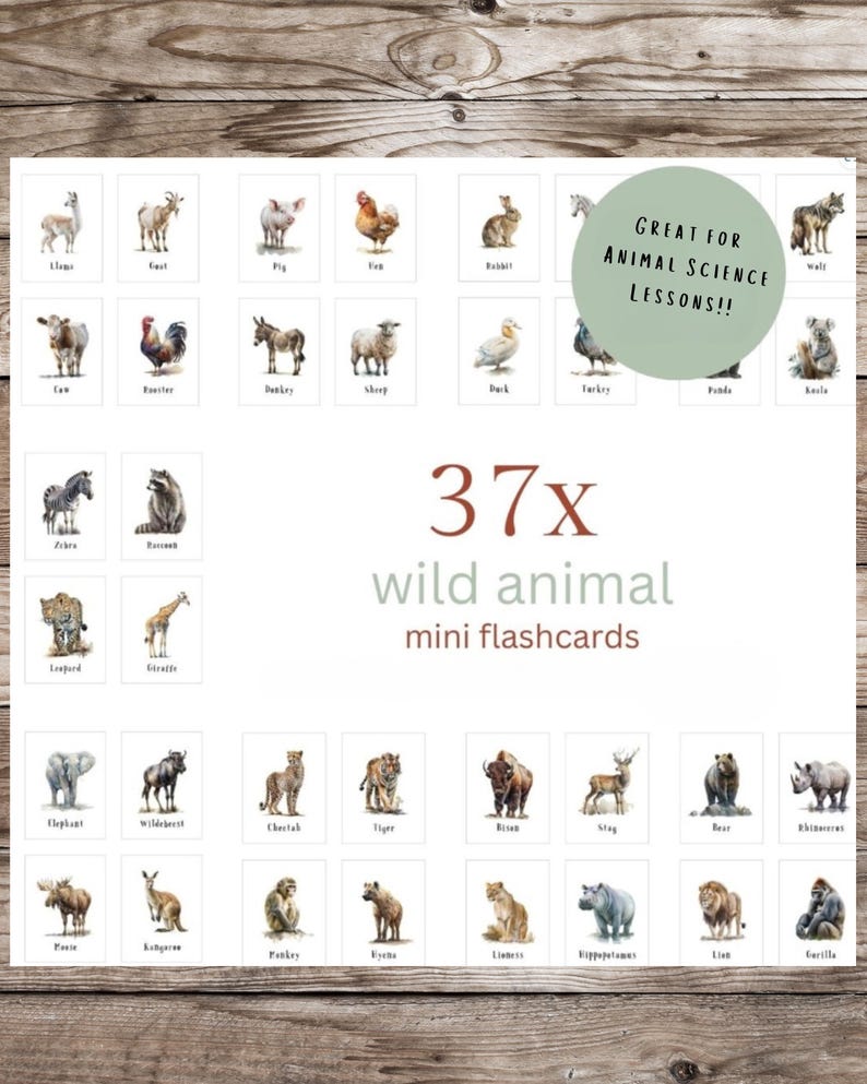 Wild Animal Flashcards for Kids – Educational Printable Cards With ...