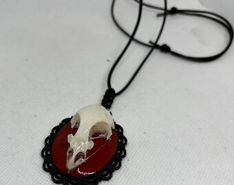 Hermoso collar con colgante de calavera de pájaro gótico hecho con calavera de codorniz real