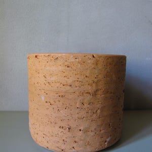 Può includere: Un vaso cilindrico in terracotta non smaltata con una superficie ruvida e strutturata. Il vaso è di colore marrone chiaro con macchie più scure e una base arrotondata. Il design semplice lo rende adatto a varie piante.