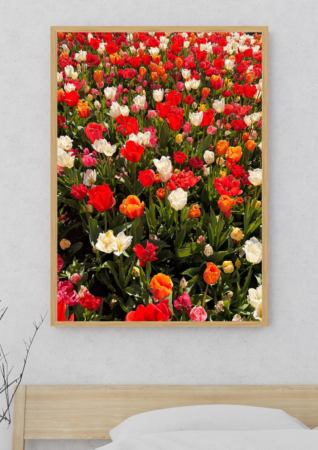 Tulip Art Print Set | Floral Photography Wall Decor (digital Download ...