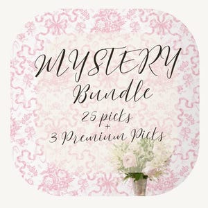 May include: A decorative image with a pink and white floral pattern background. The text "MYSTERY Bundle" is written in elegant script, with the details "25 picks + 3 Premium Picks" below. A bouquet of flowers is at the bottom.