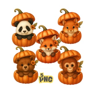 May include: Digital illustration of five adorable animals: a panda, two foxes, a bear, and a monkey, each nestled inside a bright orange pumpkin. The pumpkins have green stems and are decorated with small flowers. The image includes the text "5 PNG".
