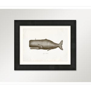 Vintage Sperm Whale Print 8x10 P224 image 3