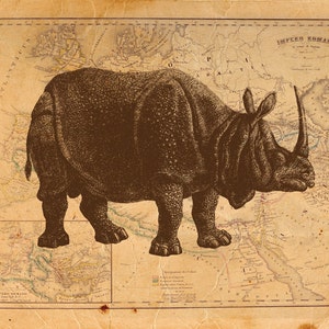 Vintage Rhino on Antique Roman Empire Map Print 8x10 P87