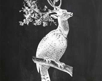 Vintage Owl Deer on Chalkboard Print 8x10 P135