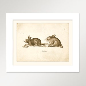 Vintage Rabbits on French Ephemera Print 8x10 P321 image 2