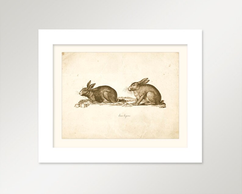 Vintage Rabbits on French Ephemera Print 8x10 P321 image 2