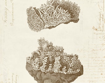 Vintage Crystals "Cristaux" on French Ephemera Print 8x10 Minerals Geology Crystal Print 5x7 P288