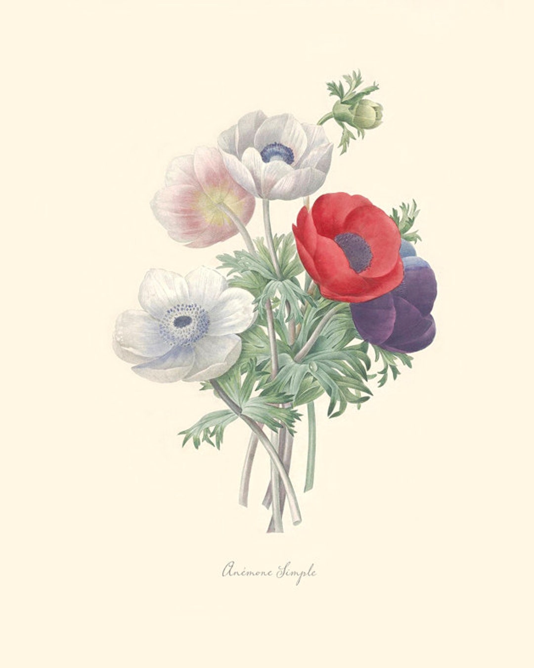 絵画 anemone il_1080xN.382993089_61hn.jpg