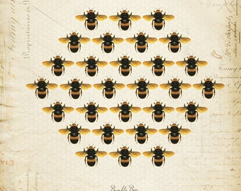 Vintage Bumble Bees Honeycomb on French Ephemera Print 8x10 P53