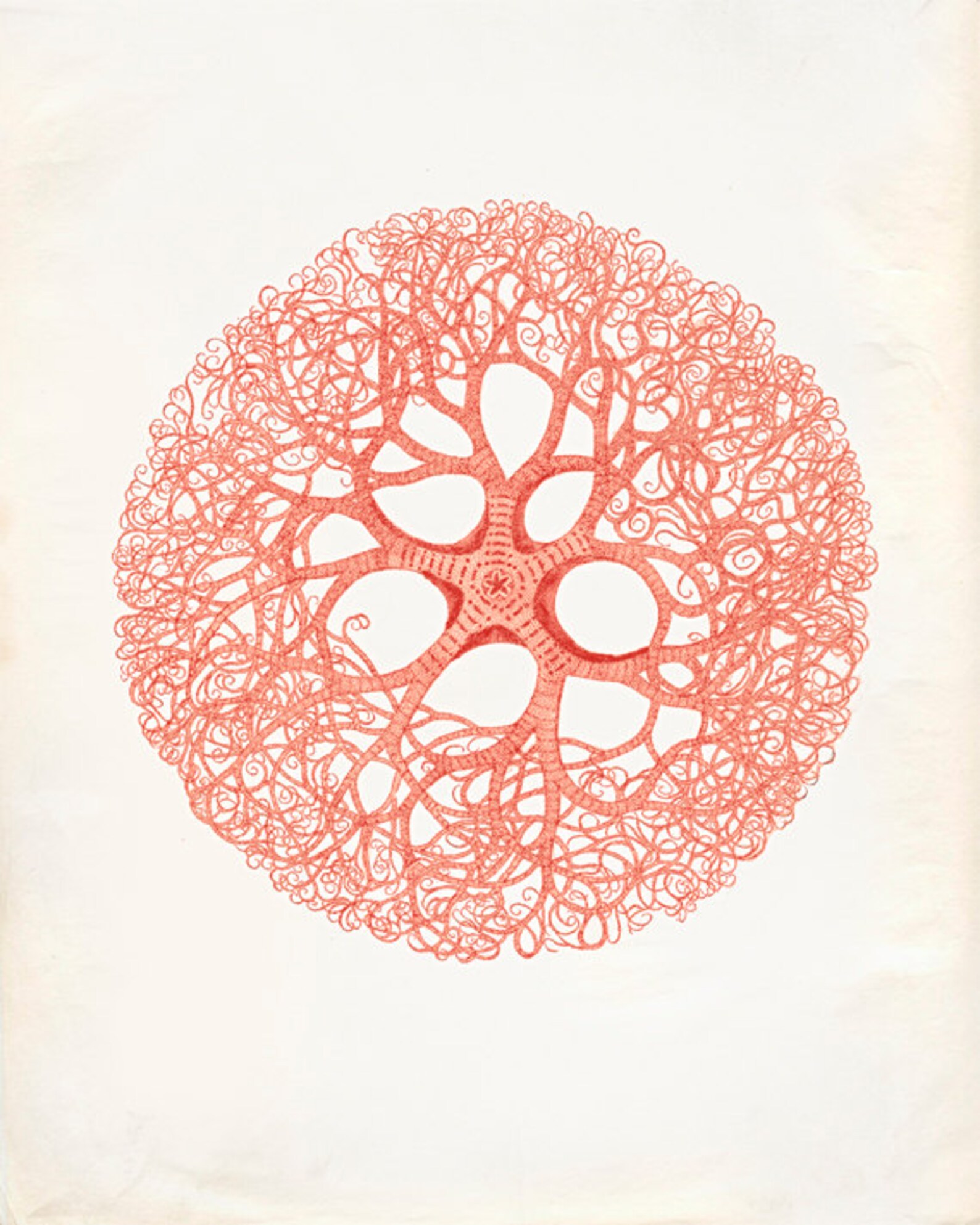 Vintage Sea Coral Print 8x10 P266 Etsy