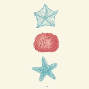 Vintage Sea Kelp &quot;Varech&quot; Print 8x10 P187