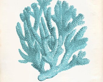 Vintage Ocean Teal Kelp Seaweed Coral Print 8x10 P228