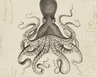 Octopus "Poulpe" on French Ephemera Print 8x10 P300