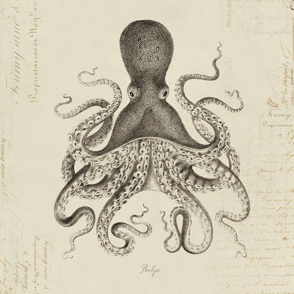 Octopus "Poulpe" on French Ephemera Print 8x10 P300