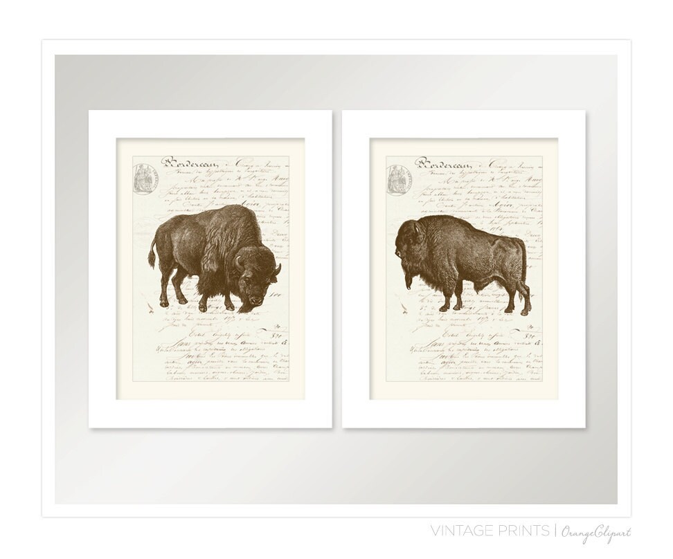 Vintage Bison Buffalo on French Ephemera Print 8x10 P140 | Etsy
