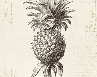 Vintage Pineapple "Ananas" on French Ephemera Print 8x10 Vintage Pineapple 5x7 P296