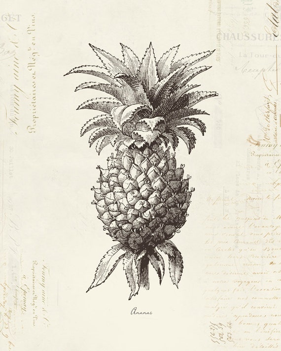 Vintage Pineapple Ananas on French Ephemera Print Etsy