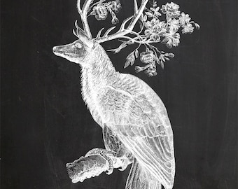 Vintage Parrot Deer on Chalkboard Print 8x10 P136