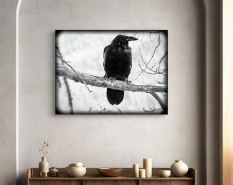 Raven on Branch on Canvas, Black & White Wall Art, Raven Wall Art, Home Office Decor