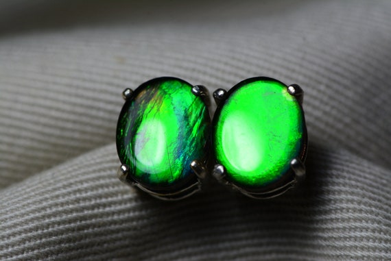Ammolite 2024 stud earrings