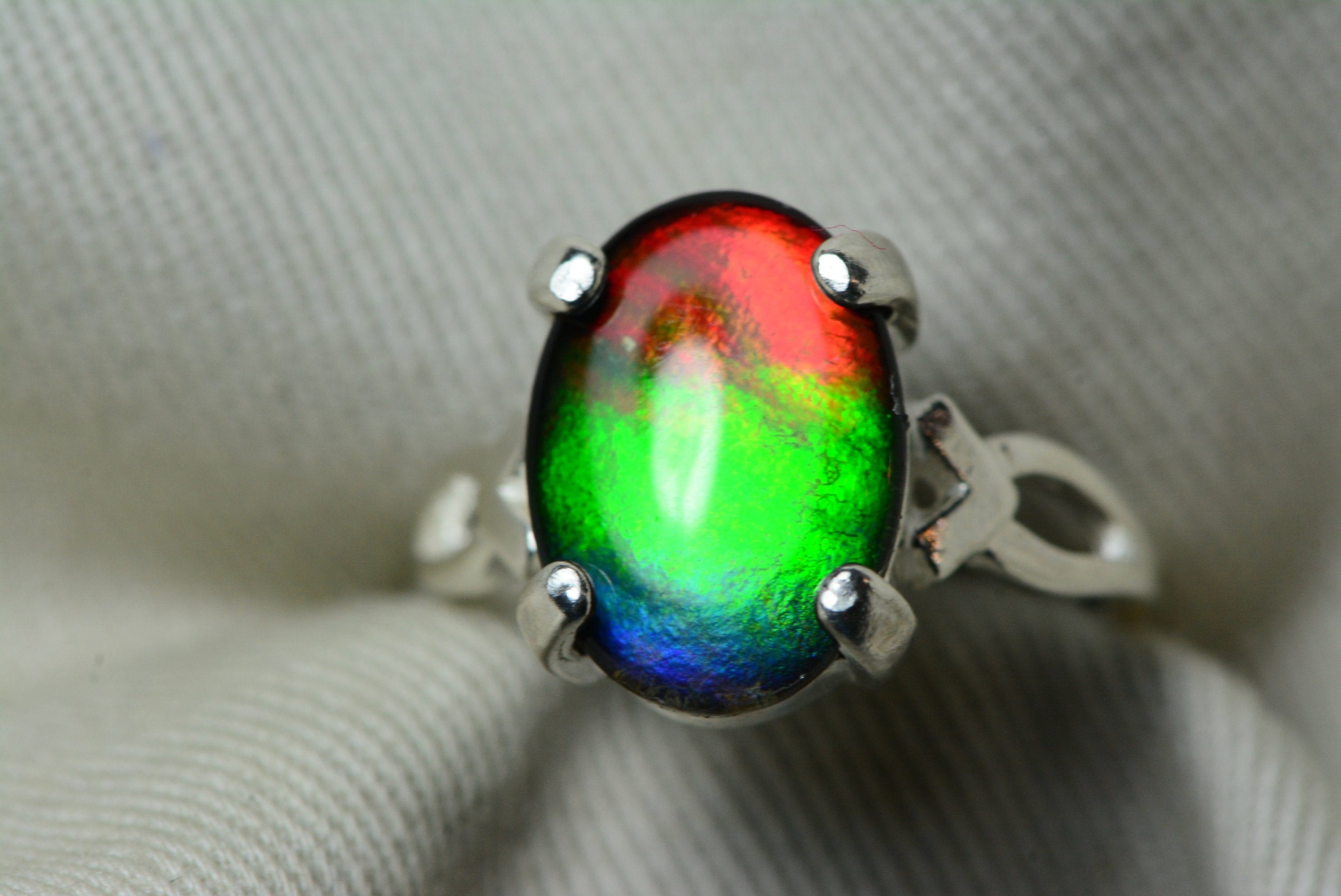 Ammolite Mens Ring.Grade AA 10x8 in heavy carved sterling.Size 11* - Ammolite  Jewelry From Canada