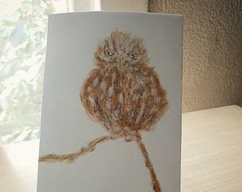 POSTCARD BABY OWL