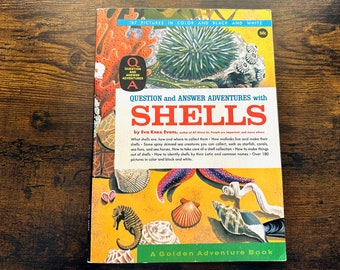 1963 Q-and-A Adventures with Shells children's book, Eva Knox Evans, A Golden Adventure Book, summer beach guide