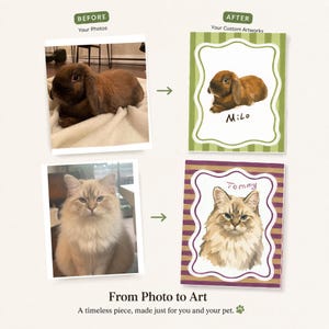 May include: A comparison graphic showing two pet photos on the left labeled Before Your Photos and two corresponding digital illustrations on the right labeled After Your Custom Artworks. The text From Photo to Art appears at the bottom.