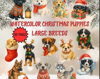 Large Breed Christmas Puppy Clipart Bundle | Labrador, Great Dane, Husky, Bernese Mountain Dog | Holiday Dog Watercolor Illustrations