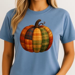 May include: A light blue t-shirt with a pumpkin design. The pumpkin is made up of plaid sections in orange, red, green, and yellow. The shirt has a crew neck and short sleeves.