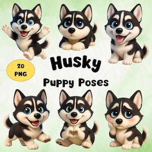 May include: A digital graphic featuring six cartoon husky puppies in various poses. The puppies have black and white fur, blue eyes, and are smiling. Text on the image reads "Husky Puppy Poses" and "20 PNG".