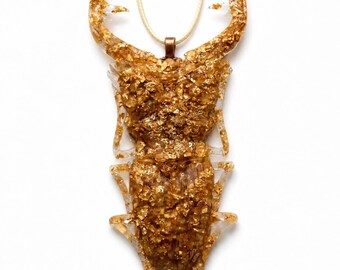 Gilded Stag Beetle Pendant Necklace | Dark Academia Statement Jewelry | Entomology Cabinet Piece
